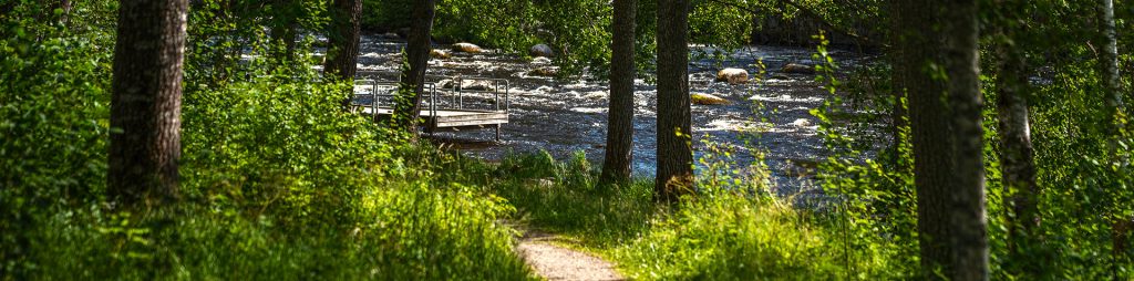 Hiekkainen polku kulkee kosken rantaa pitkin puistoalueen läpi.