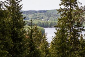 A beautiful view of lakes and forests can be seen from the top of Elämänmäki.