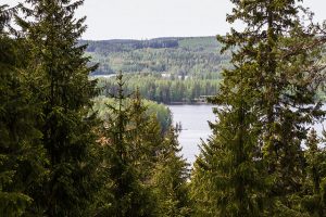 Elämänmäen huipulta avautuu upea järvi- ja metsämaisema.