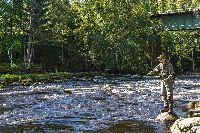 A fly fisher standing on a rock by the rapids, casting his line in the water using a roll cast.