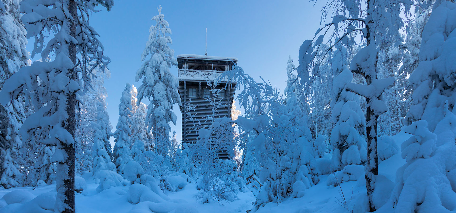 Mäntänvuoren luminen näköalatorni puiden ympäröimnänä talvella. Paksu lumikerros painaa puiden oksia maata kohti.
