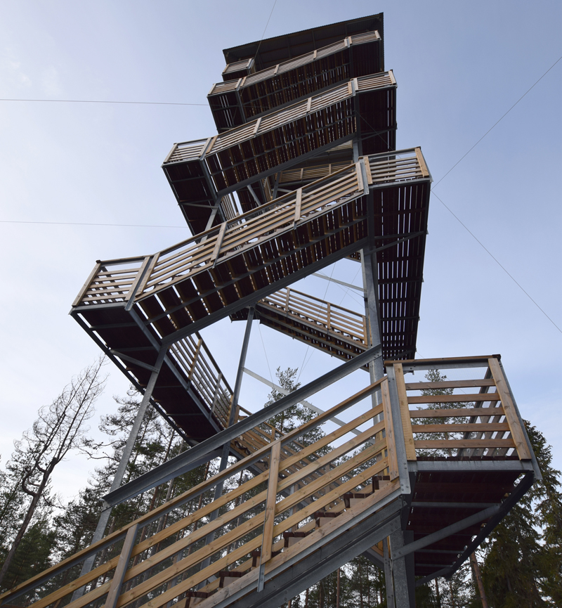 The Palellusvuori observation tower surrounded by trees.