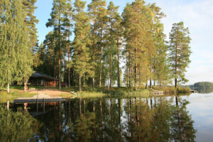 A wooden sauna building nestled between lush trees on a lake’s shore.